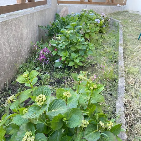 Apartamento Et Quiberon
